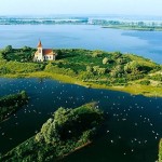 11535708_854993414577026_770263868088556502_n