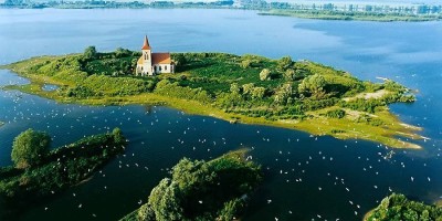 11535708_854993414577026_770263868088556502_n